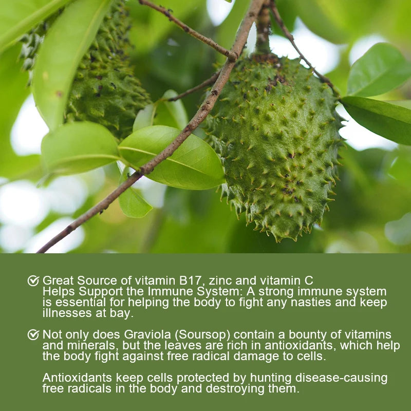 YIMIDUK Graviola Soursop Supplement, Supports Immune Health, Digestive Comfort, Sleep Quality & Overall Body Wellness Daily
