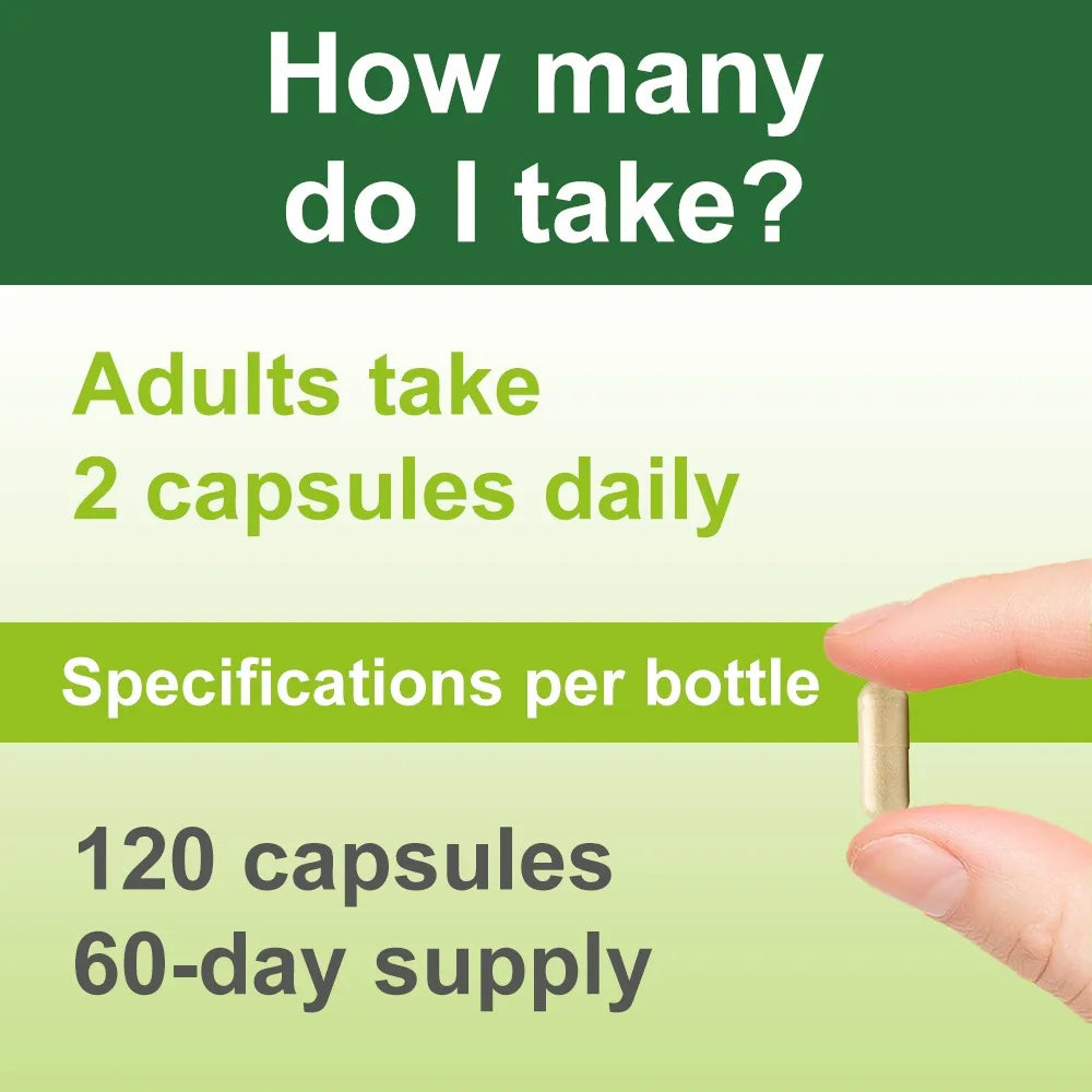 Multivitamins and Minerals Supplements - Maintain Bone Health, Help Relieve Fatigue, and Promote Red Blood Cell Production
