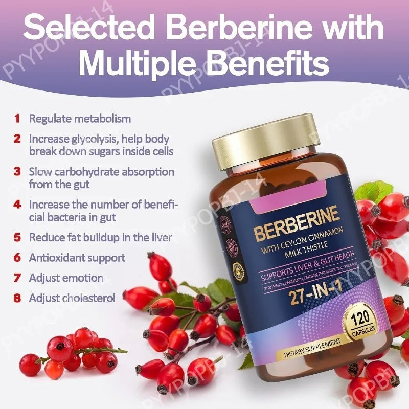 27 in 1 Berberine Supplement with Ceylon Cinnamon, Milk Thistle for Liver Gut Health Immunity Men & Women 120 Vegan Capsules